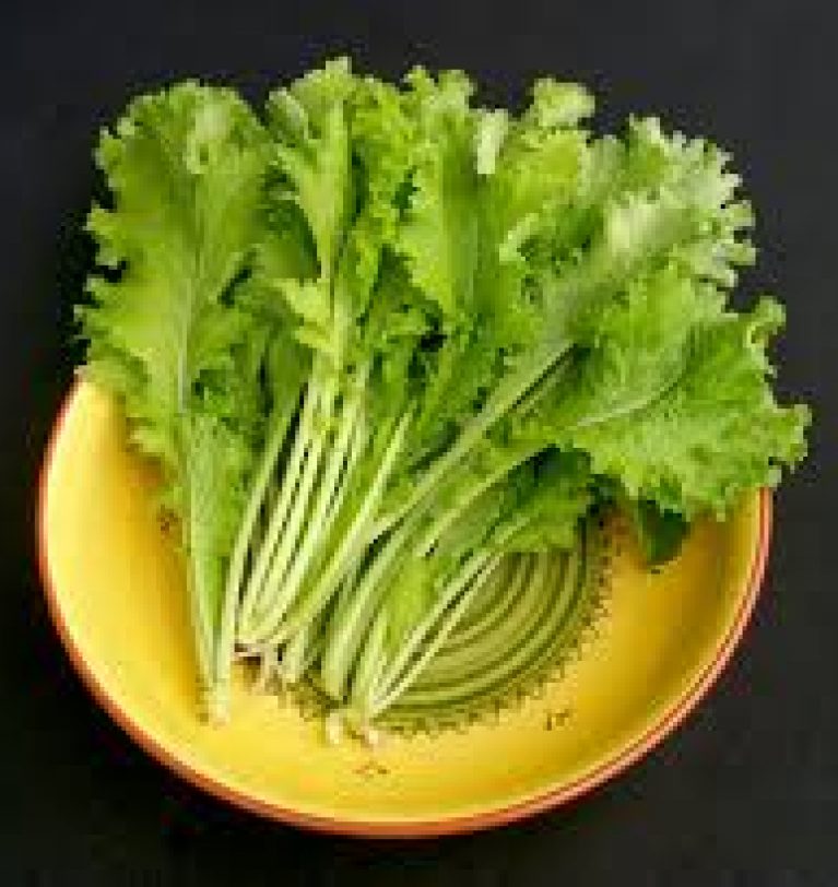 Fresh Organic Mustard Leaves