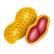 Oil-Seeds.jpg