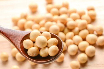 SOYABEAN.jpg