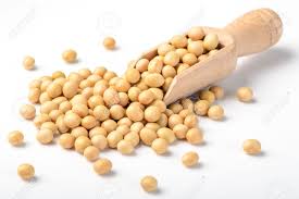 Soyabean7.jpg