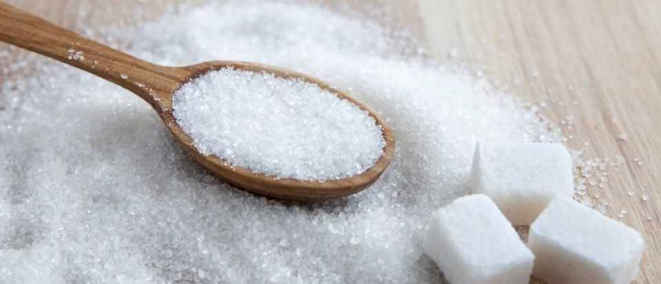 Sugar-1.jpg
