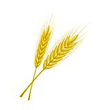 cereals-1.png