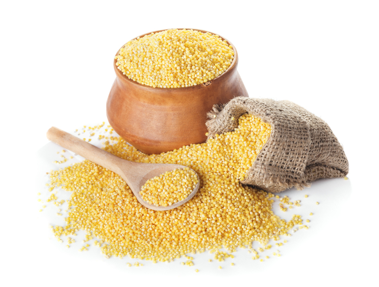 Maize.jpg